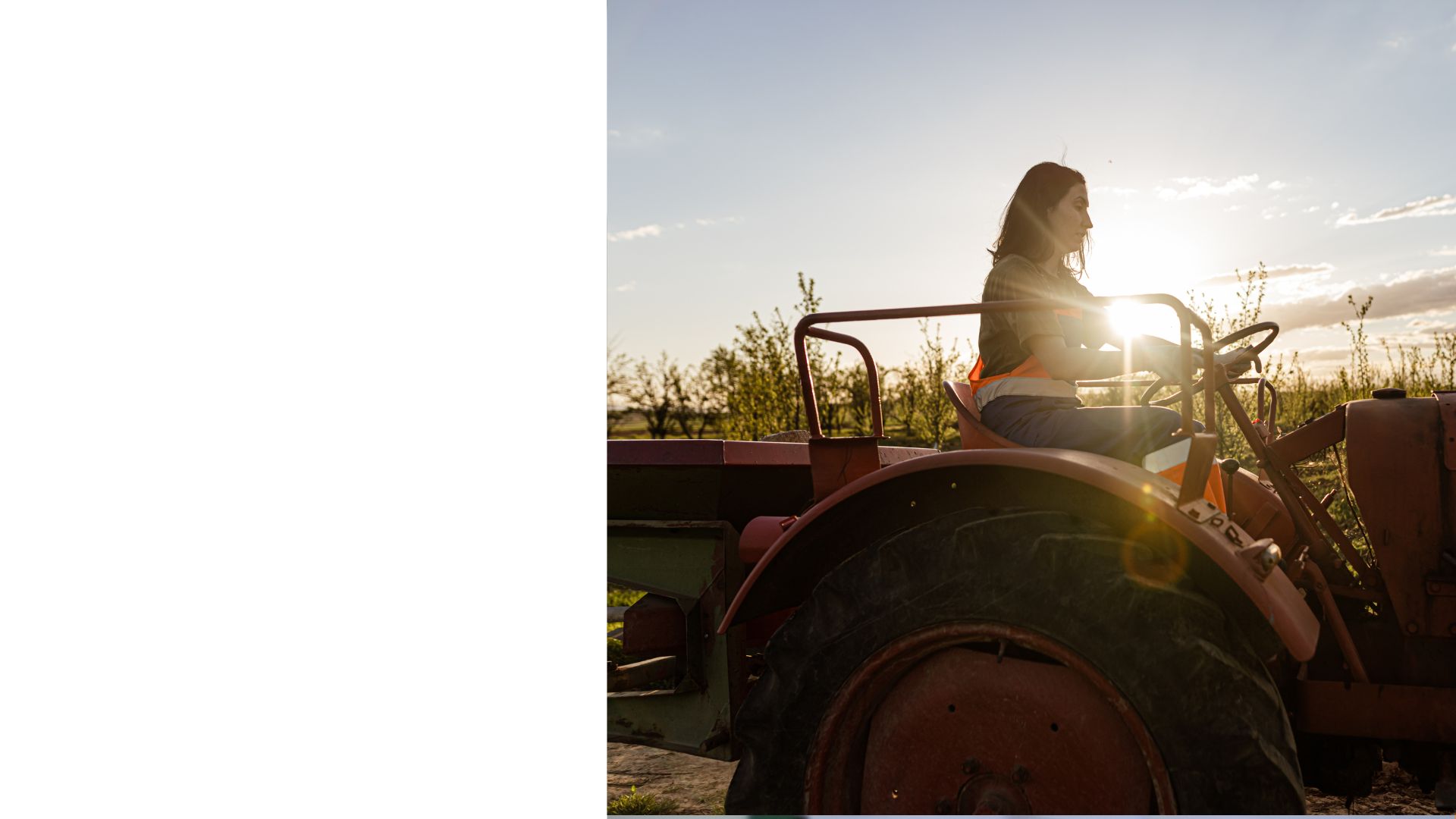Portrait of a Ukrainian rural woman during the war