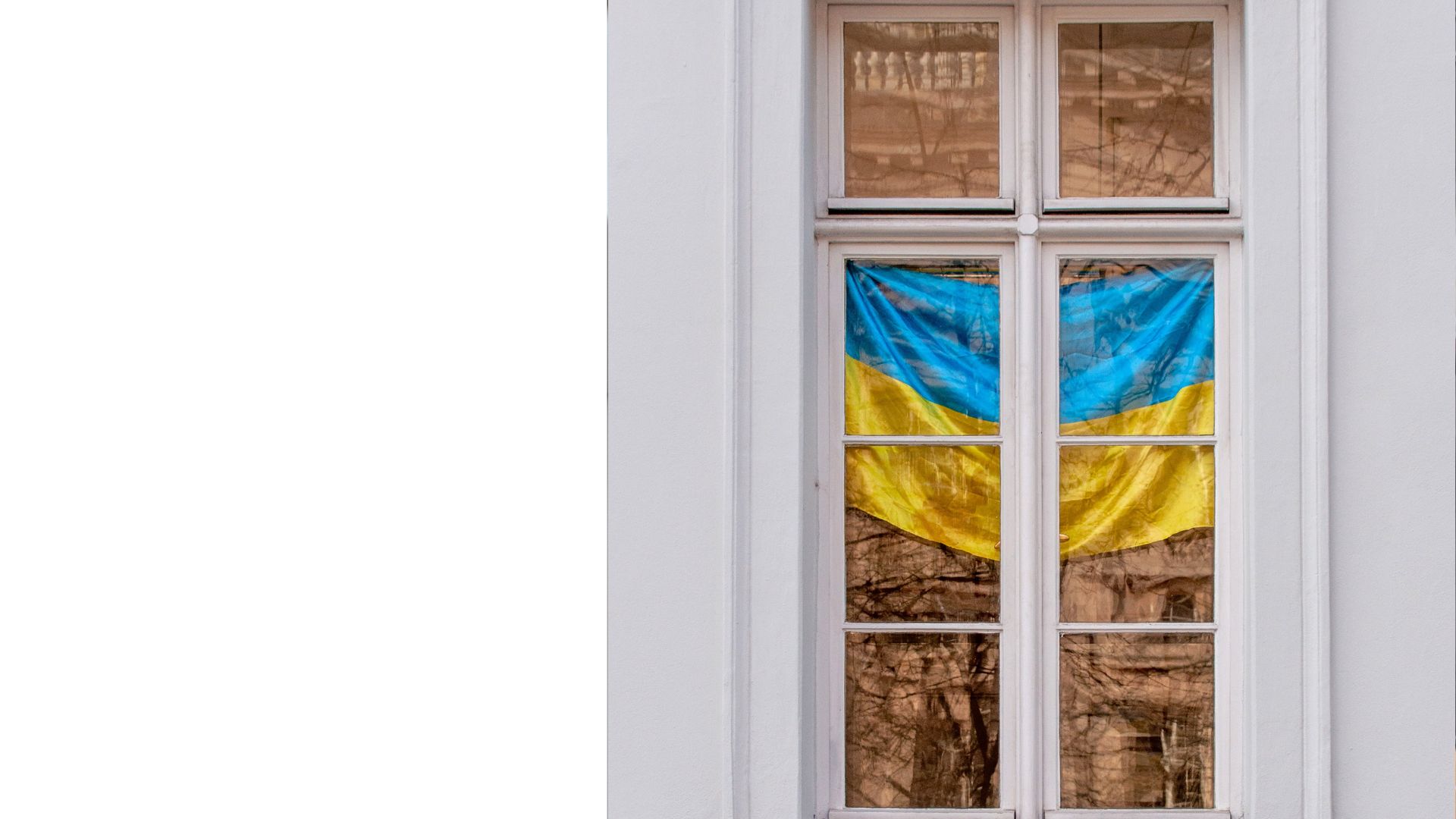 Українці вважають мирний план Трампа нежиттєздатним